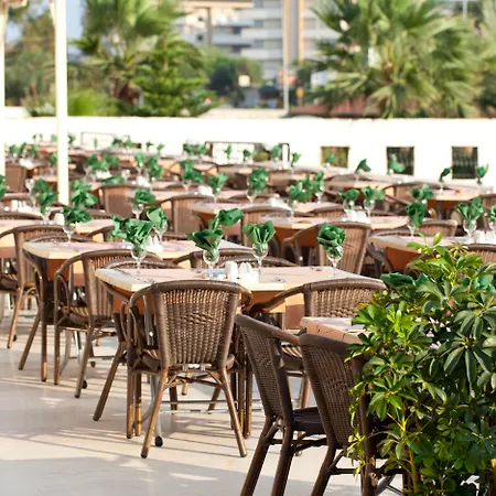 Arabella World 4* Avsallar